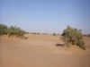 STH70103.jpg