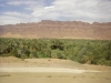 STH70224.jpg
